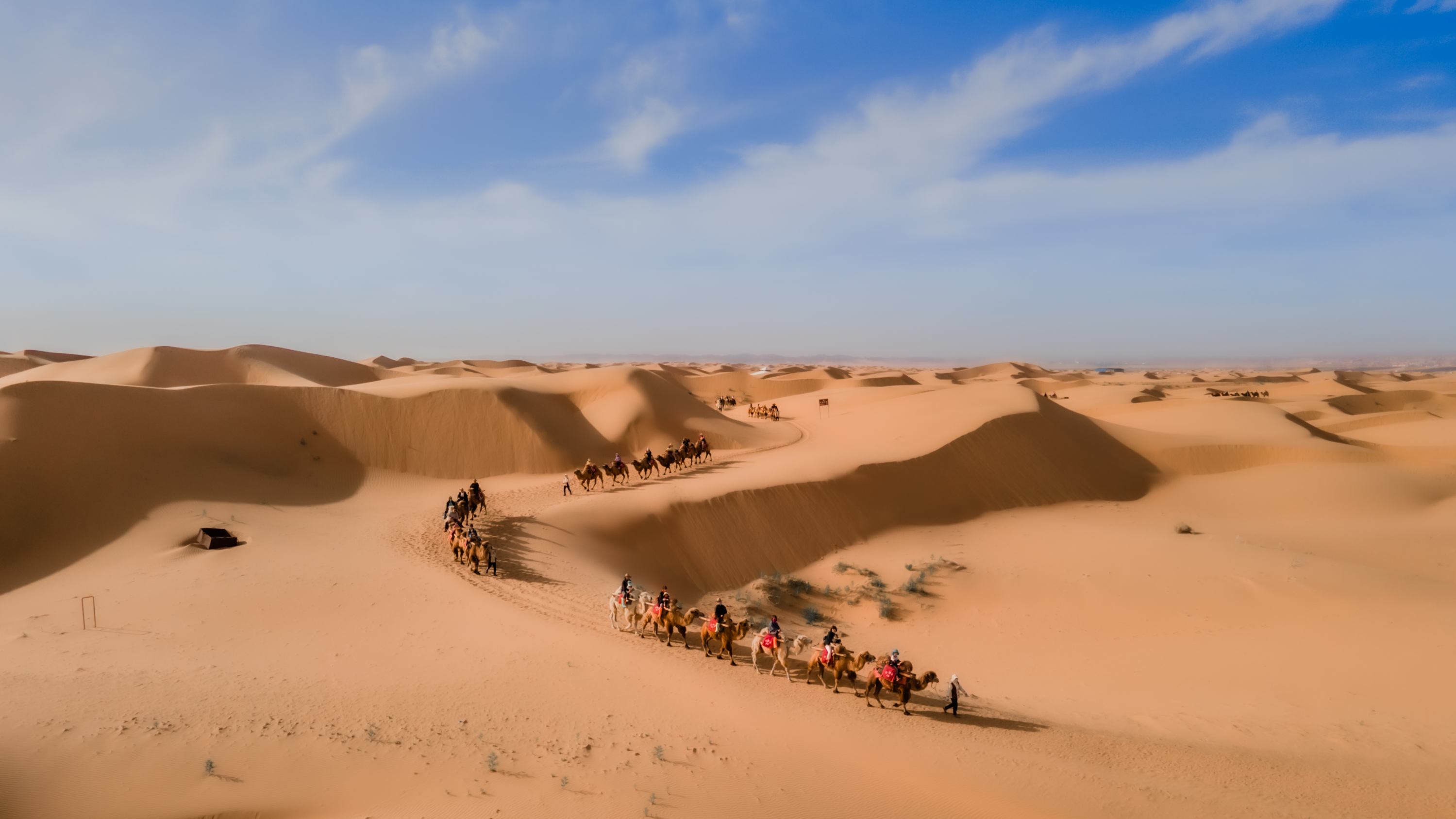 旅游攻略必去的景点|2026国内经典目的地与秋季赏景清单-第1张图片-四川省中国青年旅行社官网 四川中青旅 旅游攻略必去的景点|2026国内经典目的地与秋季赏景清单-第1张图片-四川省中国青年旅行社官网 四川中青旅