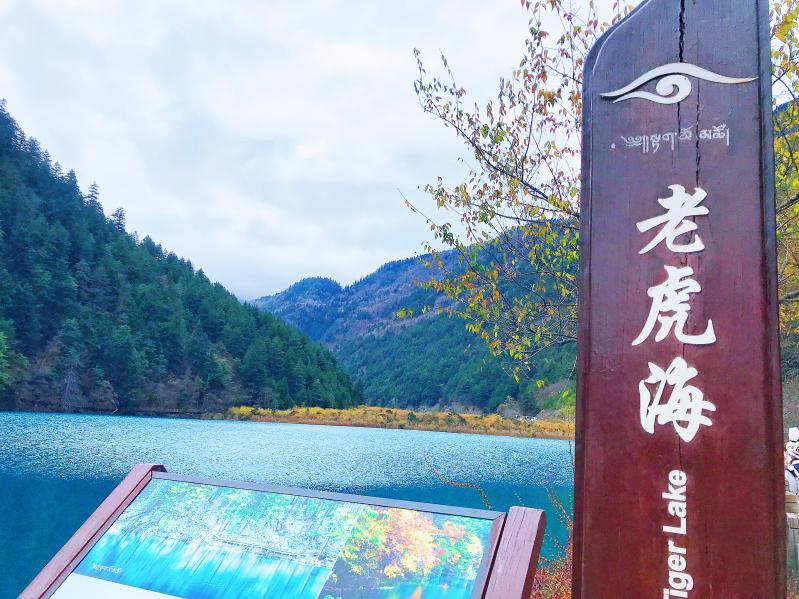 团队九寨沟旅游|3日/5日纯玩团、高铁衔接与高原安全指南-第1张图片-四川省中国青年旅行社官网 四川中青旅 团队九寨沟旅游|3日/5日纯玩团、高铁衔接与高原安全指南-第1张图片-四川省中国青年旅行社官网 四川中青旅