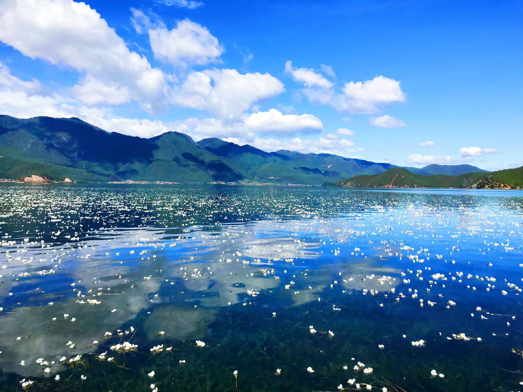 秋季旅游四川:国庆后错峰出发,把彩林、雪山和海子看完整-第1张图片-四川省中国青年旅行社官网 四川中青旅 秋季旅游四川:国庆后错峰出发,把彩林、雪山和海子看完整-第1张图片-四川省中国青年旅行社官网 四川中青旅