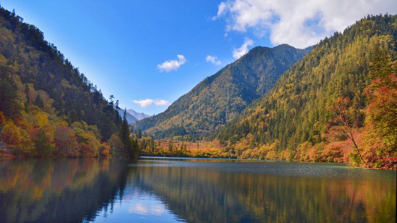 九寨沟旅游三天怎么安排?10月彩林季3日路线与预约要点-第1张图片-四川省中国青年旅行社官网 四川中青旅 九寨沟旅游三天怎么安排?10月彩林季3日路线与预约要点-第1张图片-四川省中国青年旅行社官网 四川中青旅