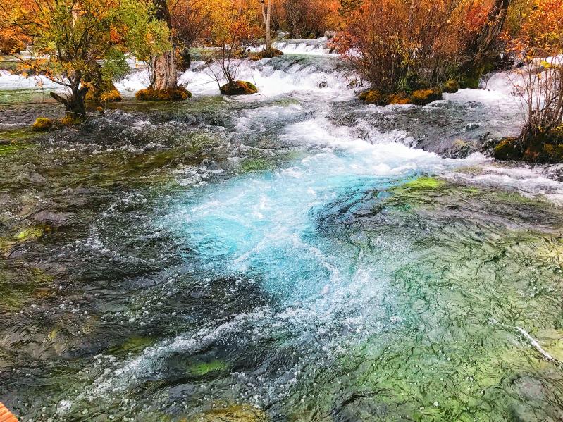 四川九寨沟旅游景点:10月彩林观赏期,门票、路线与2日行程攻略-第1张图片-四川省中国青年旅行社官网 四川中青旅 四川九寨沟旅游景点:10月彩林观赏期,门票、路线与2日行程攻略-第1张图片-四川省中国青年旅行社官网 四川中青旅