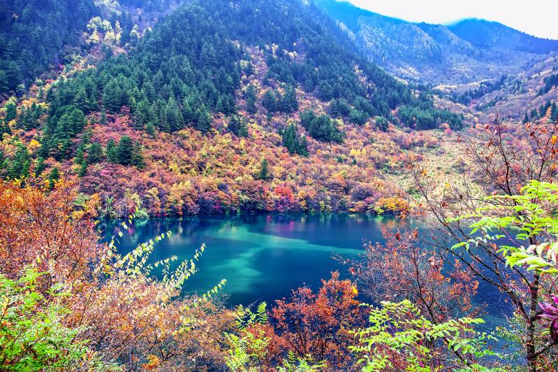 十月成都旅游正当时:错峰赏秋、看花、逛展全攻略-第1张图片-四川省中国青年旅行社官网 四川中青旅 十月成都旅游正当时:错峰赏秋、看花、逛展全攻略-第1张图片-四川省中国青年旅行社官网 四川中青旅