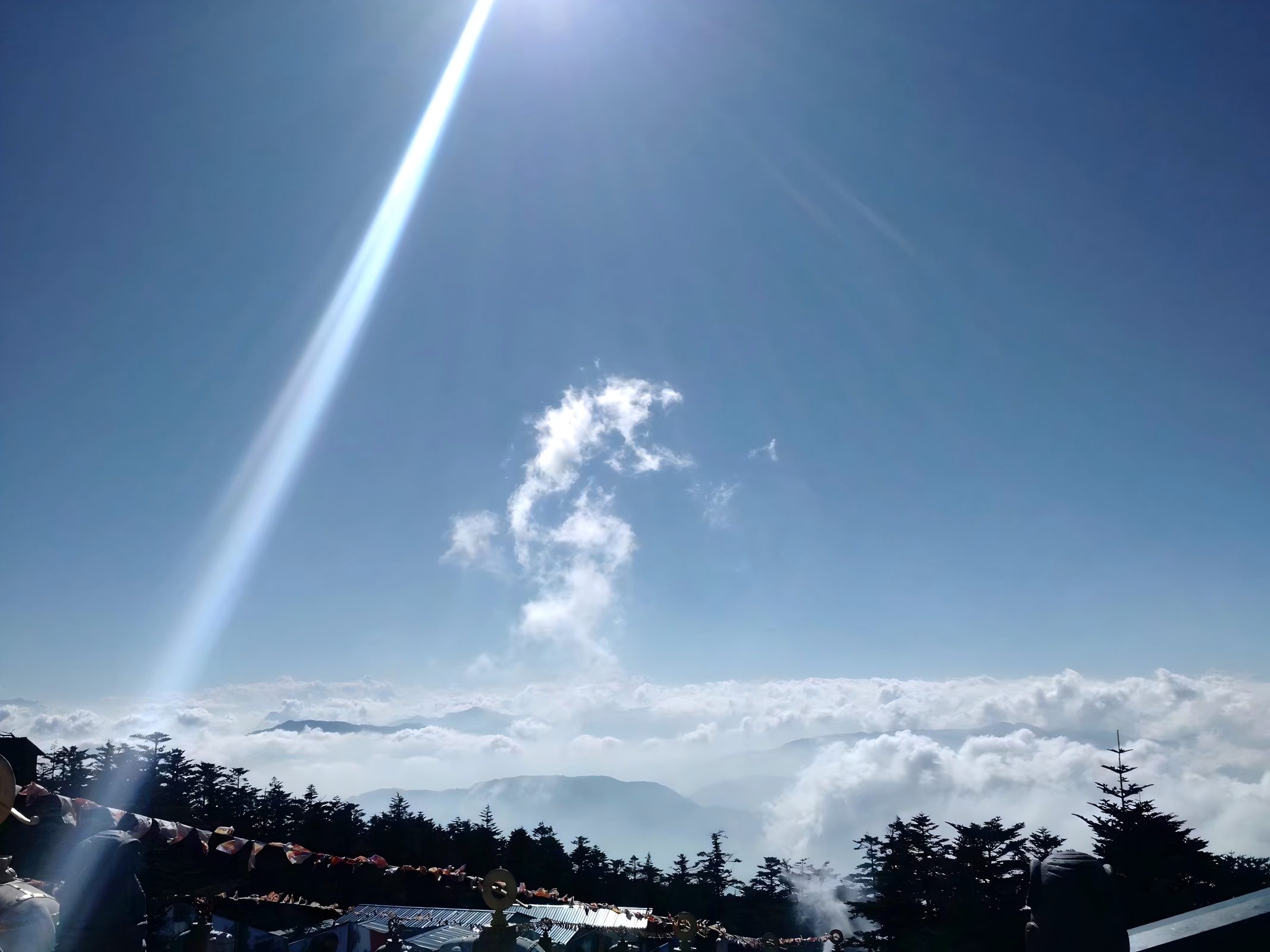 四川广元春季旅游攻略：蜀道、花海与古城，一次走完-第1张图片-四川省中国青年旅行社官网 四川中青旅