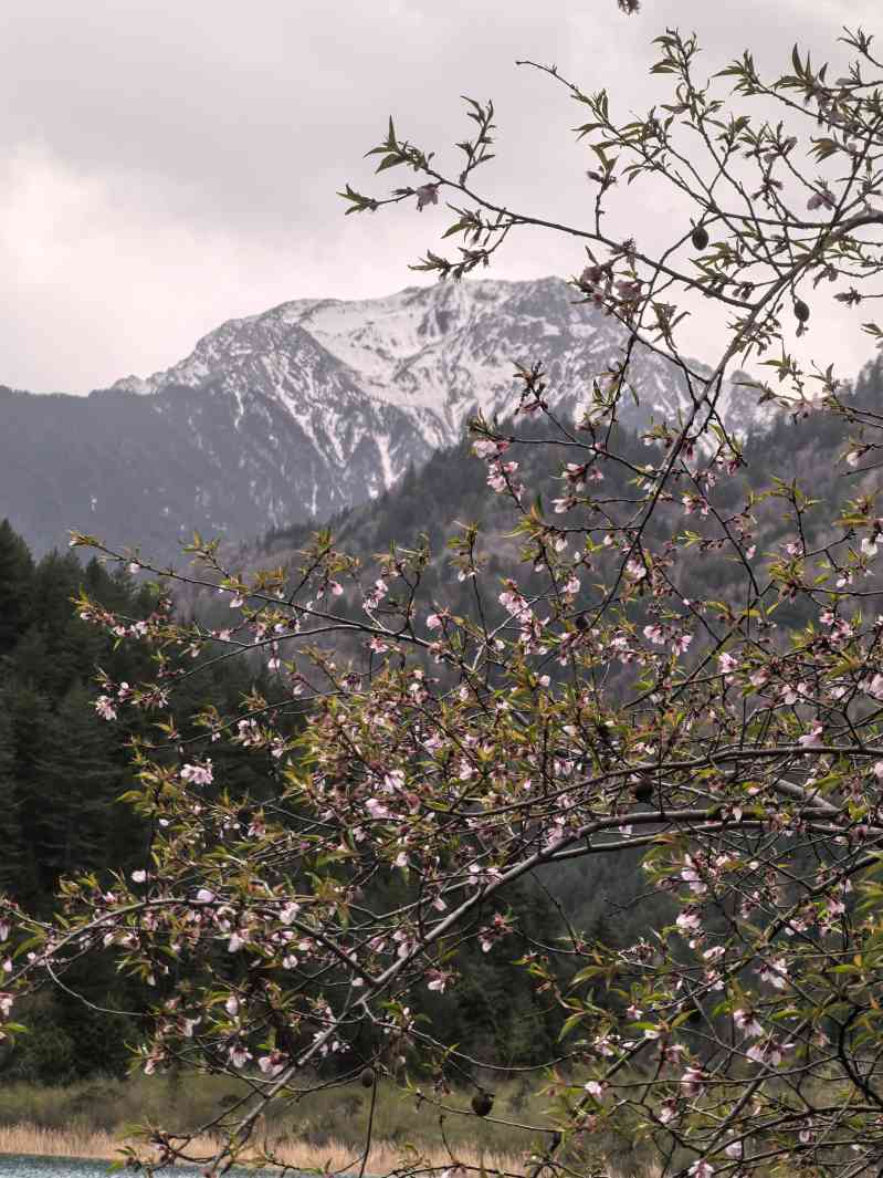 安徽九寨沟旅游攻略:牯牛降、翡翠谷、东石笋等“小九寨”景点合集-第1张图片-四川省中国青年旅行社官网 四川中青旅 安徽九寨沟旅游攻略:牯牛降、翡翠谷、东石笋等“小九寨”景点合集-第1张图片-四川省中国青年旅行社官网 四川中青旅