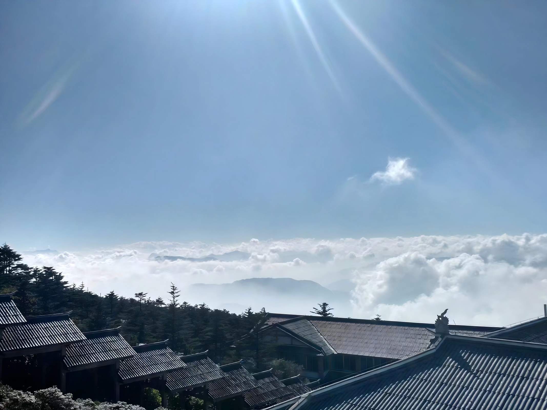 7月四川旅游攻略|避暑线路、川西雨季出行与亲子游推荐-第1张图片-四川省中国青年旅行社官网 四川中青旅 7月四川旅游攻略|避暑线路、川西雨季出行与亲子游推荐-第1张图片-四川省中国青年旅行社官网 四川中青旅