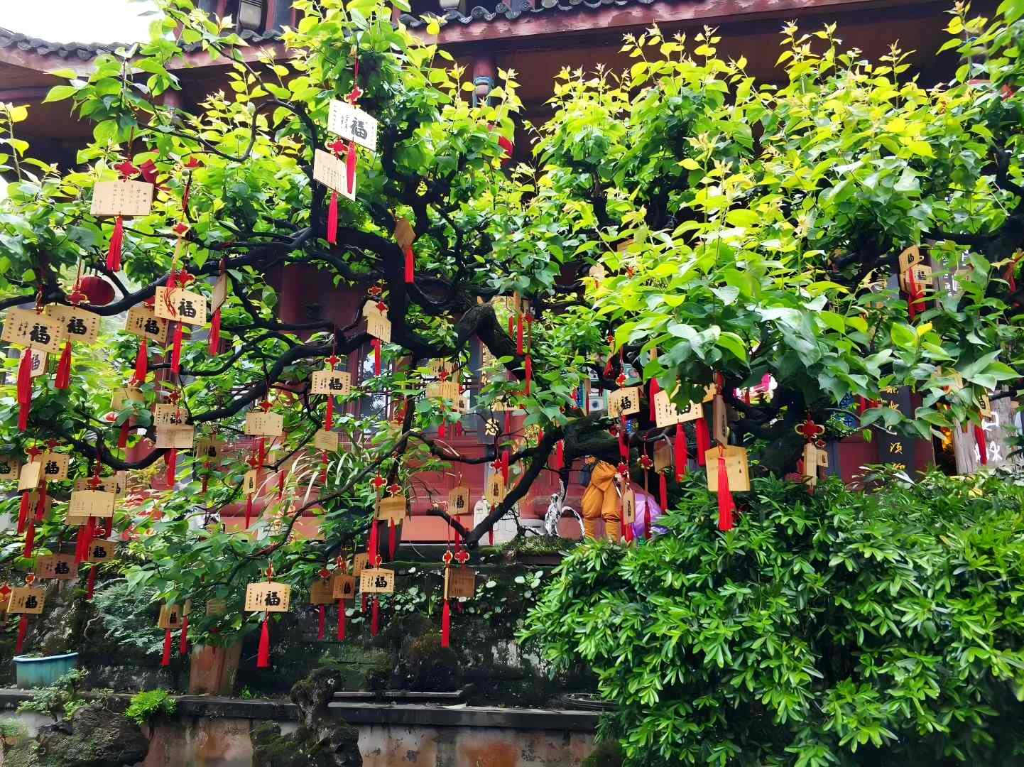 峨眉山乐山旅游攻略|双遗产一次走完,关键在“先约票、再排线”-第1张图片-四川省中国青年旅行社官网 四川中青旅 峨眉山乐山旅游攻略|双遗产一次走完,关键在“先约票、再排线”-第1张图片-四川省中国青年旅行社官网 四川中青旅