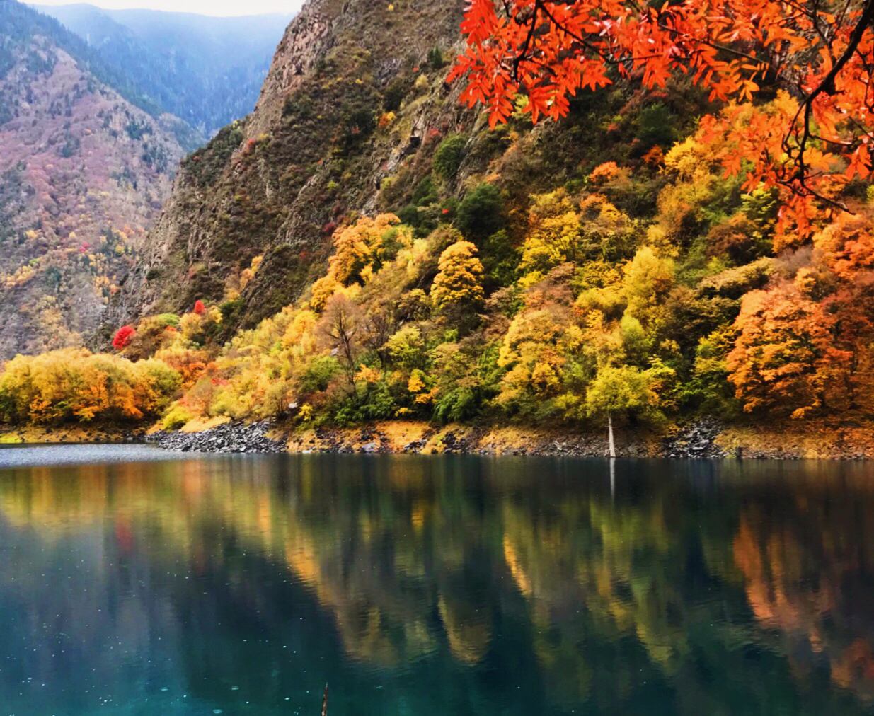 春季四川旅游：赶在暮春，把四川最后一波花海看够-第1张图片-四川省中国青年旅行社官网 四川中青旅